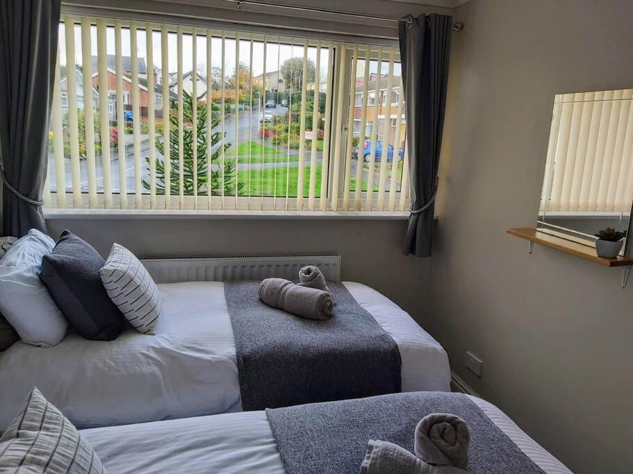 Croeso; Cosy And Ideally Located For Mountains And Beaches Holiday home Deganwy